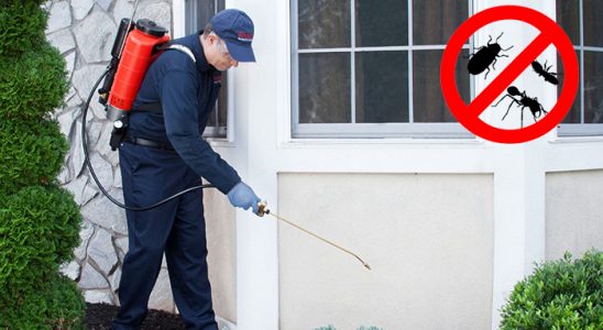 Karahallı Kemirgen İlaçlama böcek ilaçlama ve haşere kontrolü — ilaclama-tr.com